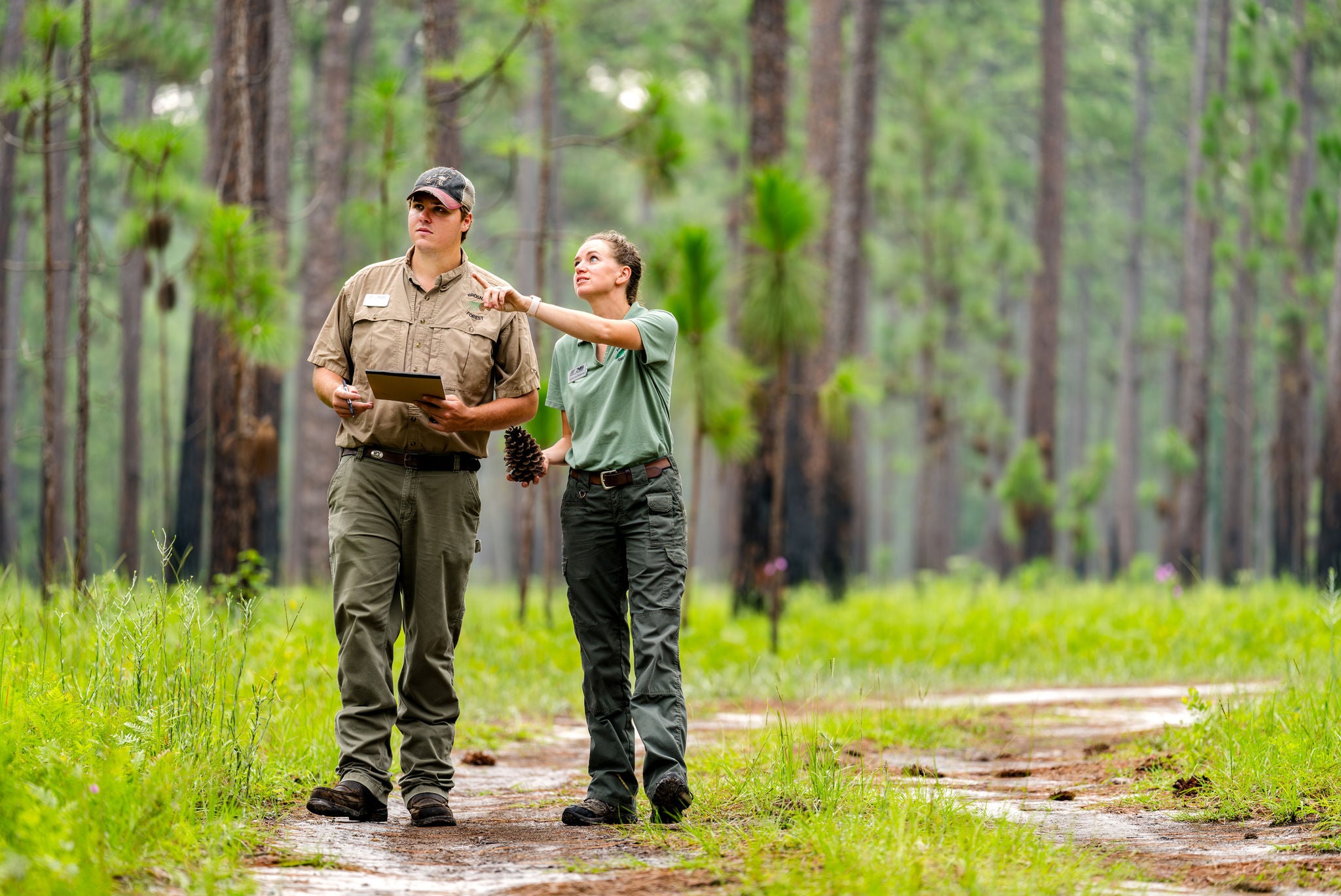 norfolk southern brosnan forest employees standing and pointing on path representing railway jobs