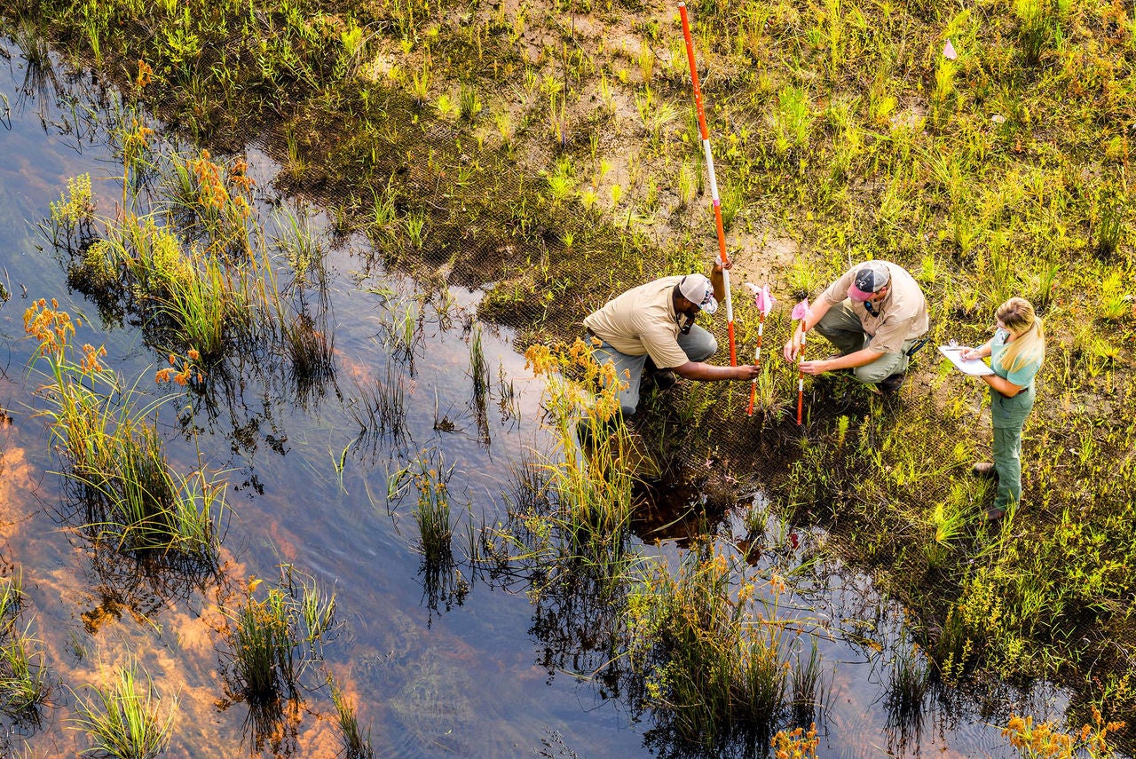 Aerial view of three Norfolk Southern employees working in a marsh to help with sustainable rail transport. 